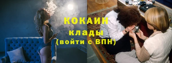 сатива Магас