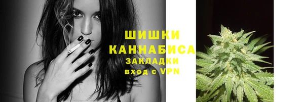сатива Магас
