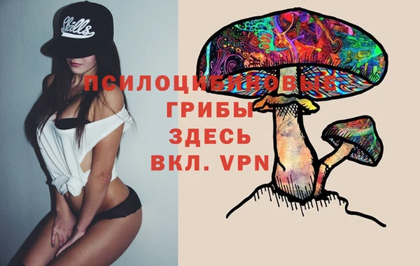 гидропоника Майский