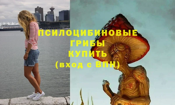 гидропоника Магадан