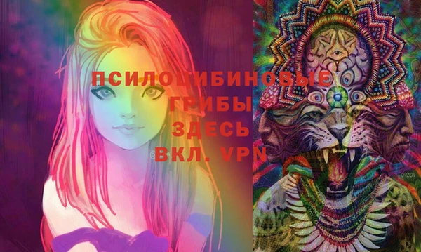 гидропоника Магадан