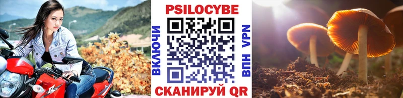 Галлюциногенные грибы Cubensis  Купить  Каменногорск 